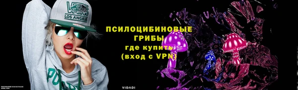 apvp Зеленодольск