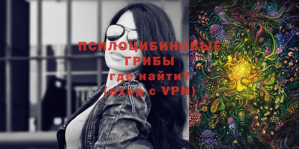 apvp Зеленодольск