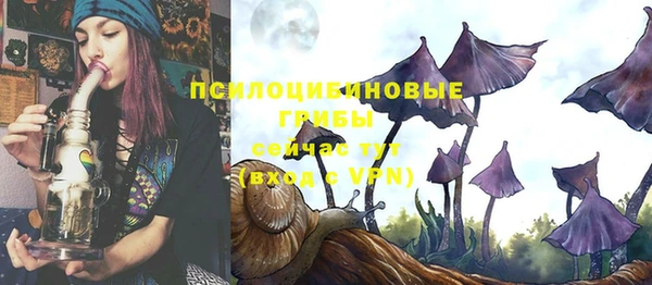 apvp Зеленодольск